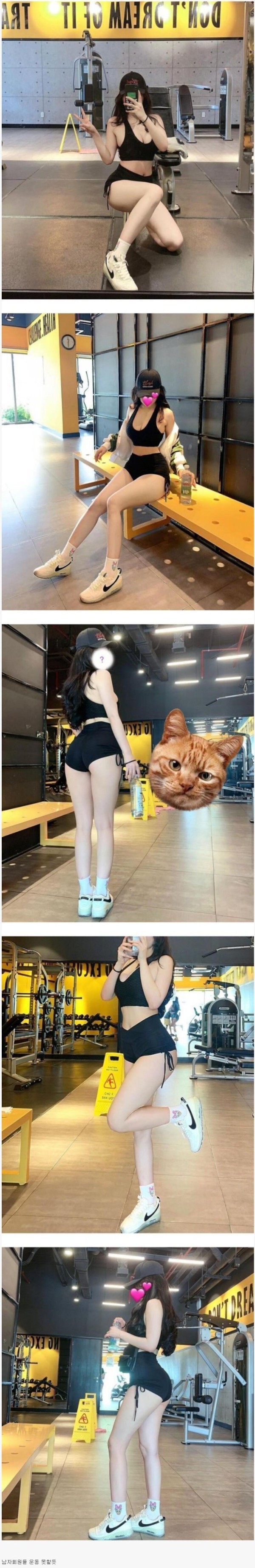 슬롯왕국,슬롯나라,슬롯,슬롯커뮤니티,잭팟,프라그마틱