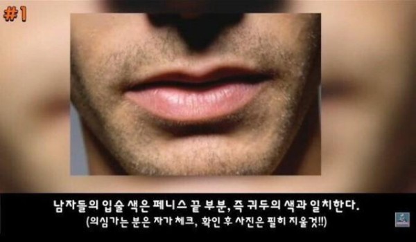 슬롯왕국,슬롯나라,슬롯,슬롯커뮤니티,잭팟,프라그마틱