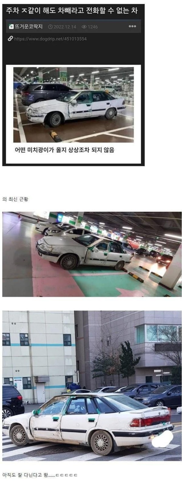 슬롯왕국,슬롯나라,슬롯,슬롯커뮤니티,잭팟,프라그마틱