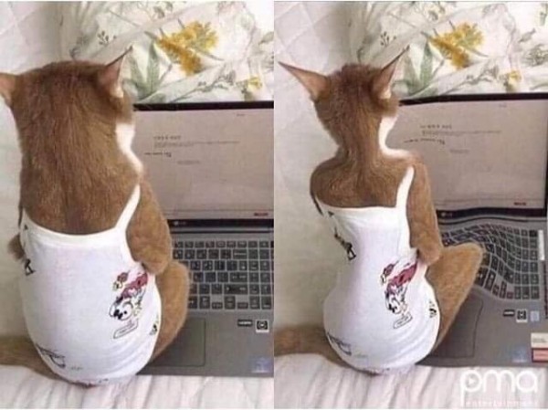 슬롯왕국,슬롯나라,슬롯,슬롯커뮤니티,잭팟,프라그마틱