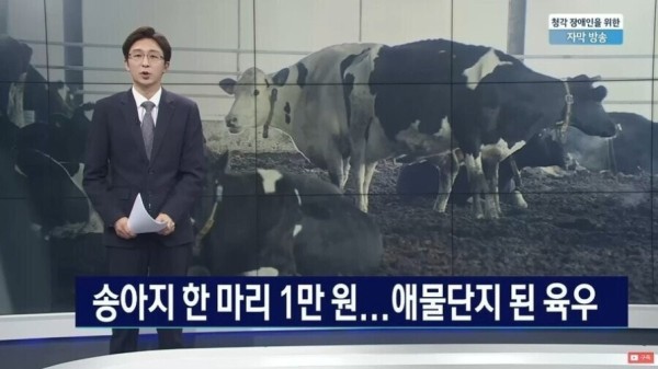 슬롯왕국,슬롯나라,슬롯,슬롯커뮤니티,잭팟,프라그마틱