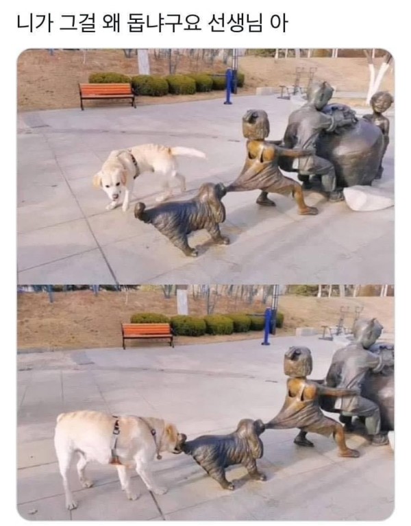 슬롯왕국,슬롯나라,슬롯,슬롯커뮤니티,잭팟,프라그마틱
