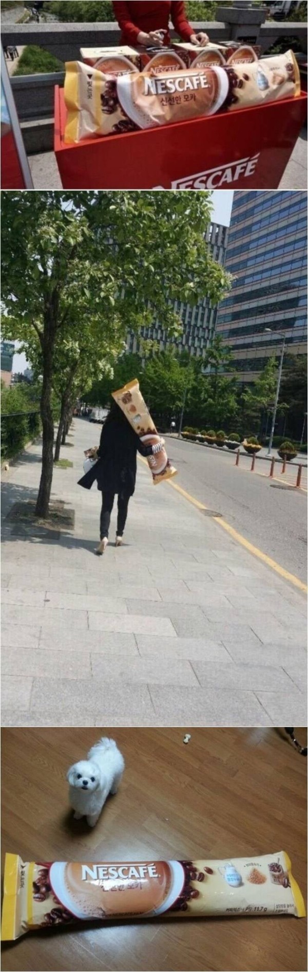슬롯왕국,슬롯나라,슬롯,슬롯커뮤니티,잭팟,프라그마틱