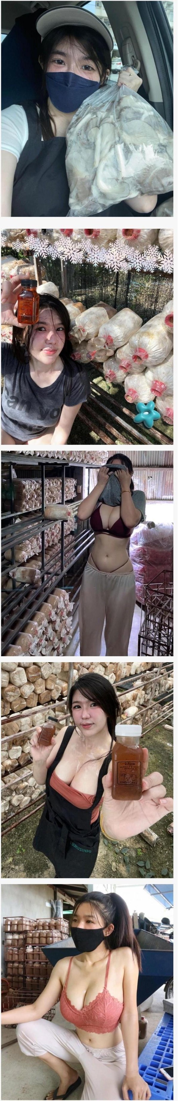 슬롯왕국,슬롯나라,슬롯,슬롯커뮤니티,잭팟,프라그마틱