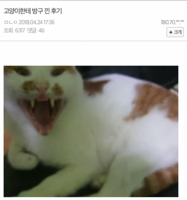 슬롯왕국,슬롯나라,슬롯,슬롯커뮤니티,잭팟,프라그마틱