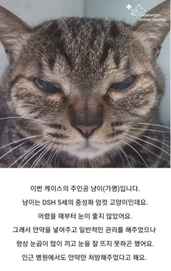 슬롯왕국,슬롯나라,슬롯,슬롯커뮤니티,잭팟,프라그마틱