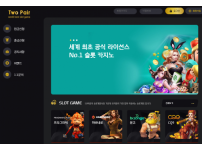온라인슬롯, 슬롯사이트, 온라인카지노, 슬롯커뮤니티 슬롯왕국 - 투페어 먹튀 (TWO PAIR) 확정 증거 첨부 