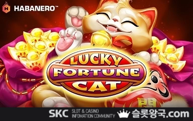 럭키 포춘 켓