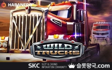 와일드 트럭