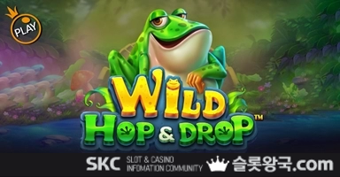 플레이와일드 홉&드롭