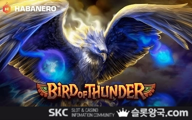 버드 오브 썬더