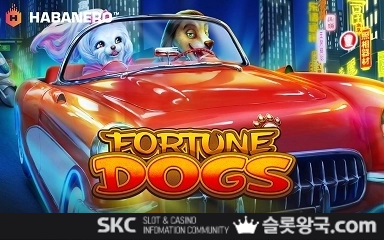 포춘 도그