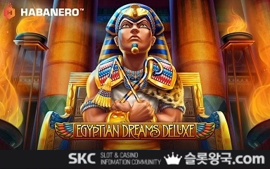 이집트 드림 디럭스