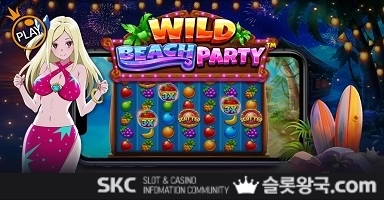 플레이와일드 비치 파티