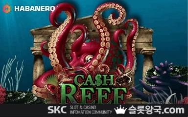캐시리프