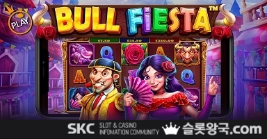 플레이불 피에스타