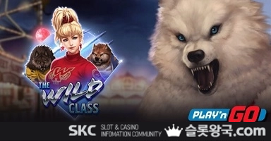 와일드 클래스