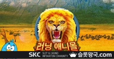 씨큐나인게이밍러닝 에니 몰